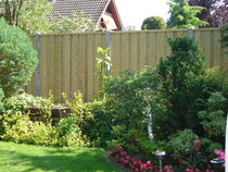 Schuttingen en hekken