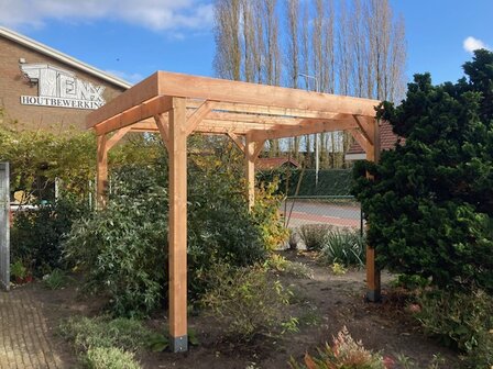 Carport 3x9m redclass vrijstaand